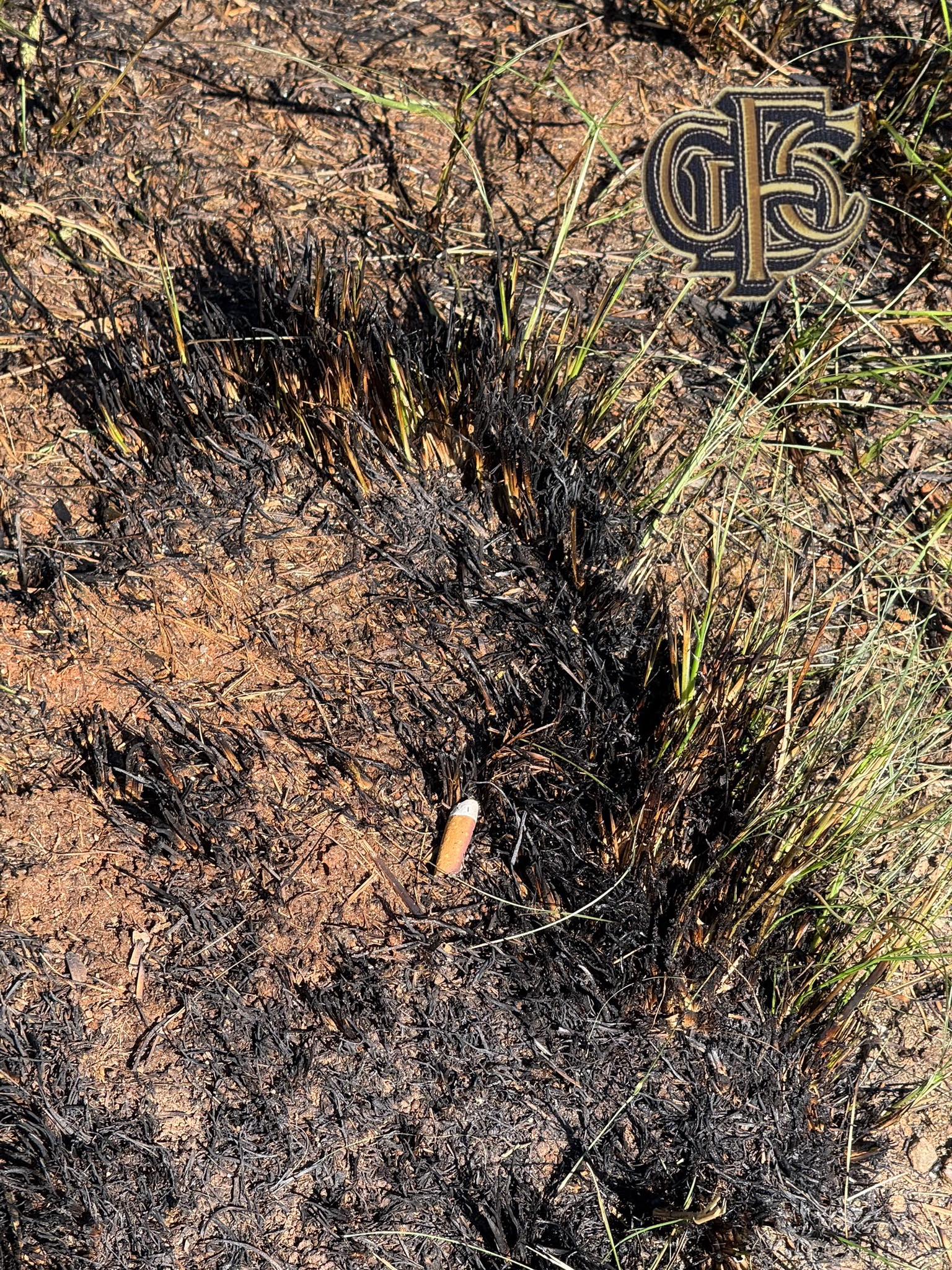 Don't throw Cigarettes out the Car Window